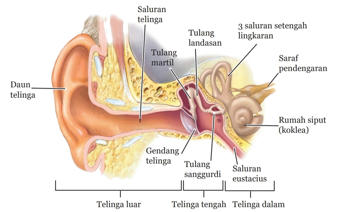 foto tidak tersedia